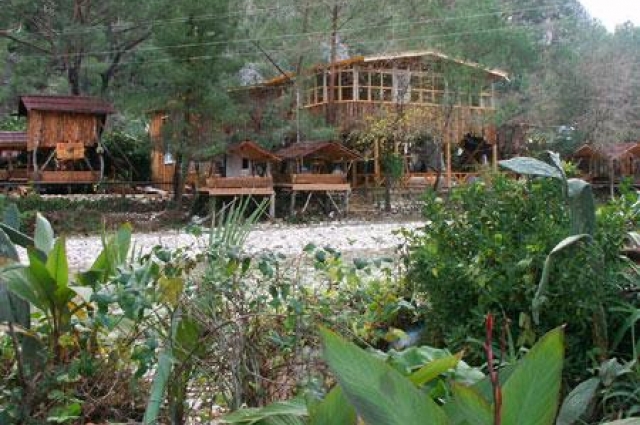 TURKMEN TREE HOUSES